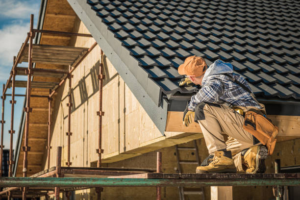 Best Roof Gutter Cleaning  in Stevensville, MT