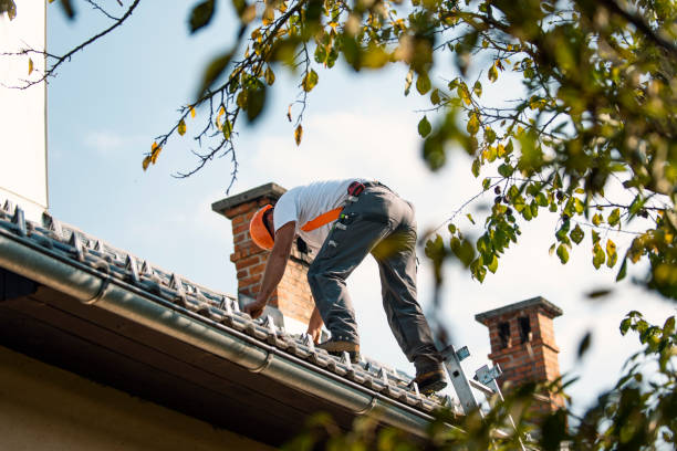 Best Slate Roofing Contractor  in Stevensville, MT