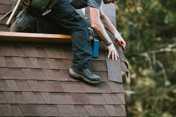 Best Local Roofing Companies  in Stevensville, MT